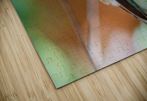  DON3804 Don Osborne puzzle
