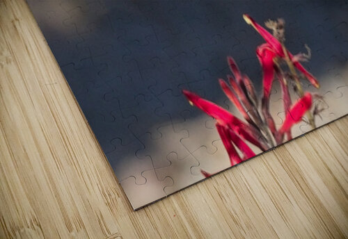 DON3423 Don Osborne puzzle