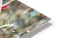  DON5070 HD Metal print