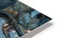 DWO 01430 HD Metal print