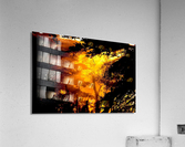 Sunset  Acrylic Print