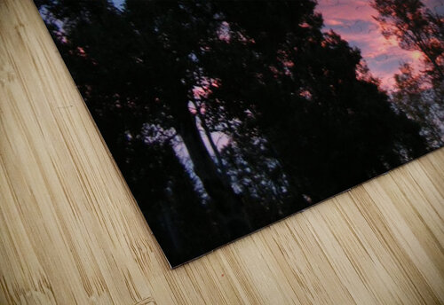 Sunrise jennifer sanders puzzle