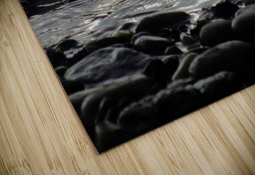 Dark waters  jennifer sanders puzzle