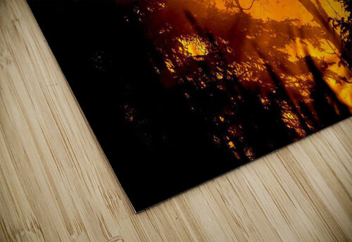 Sunset  jennifer sanders puzzle