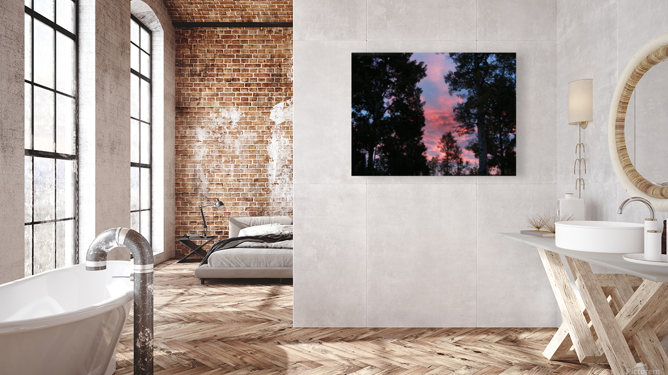 Sunrise Reproduction