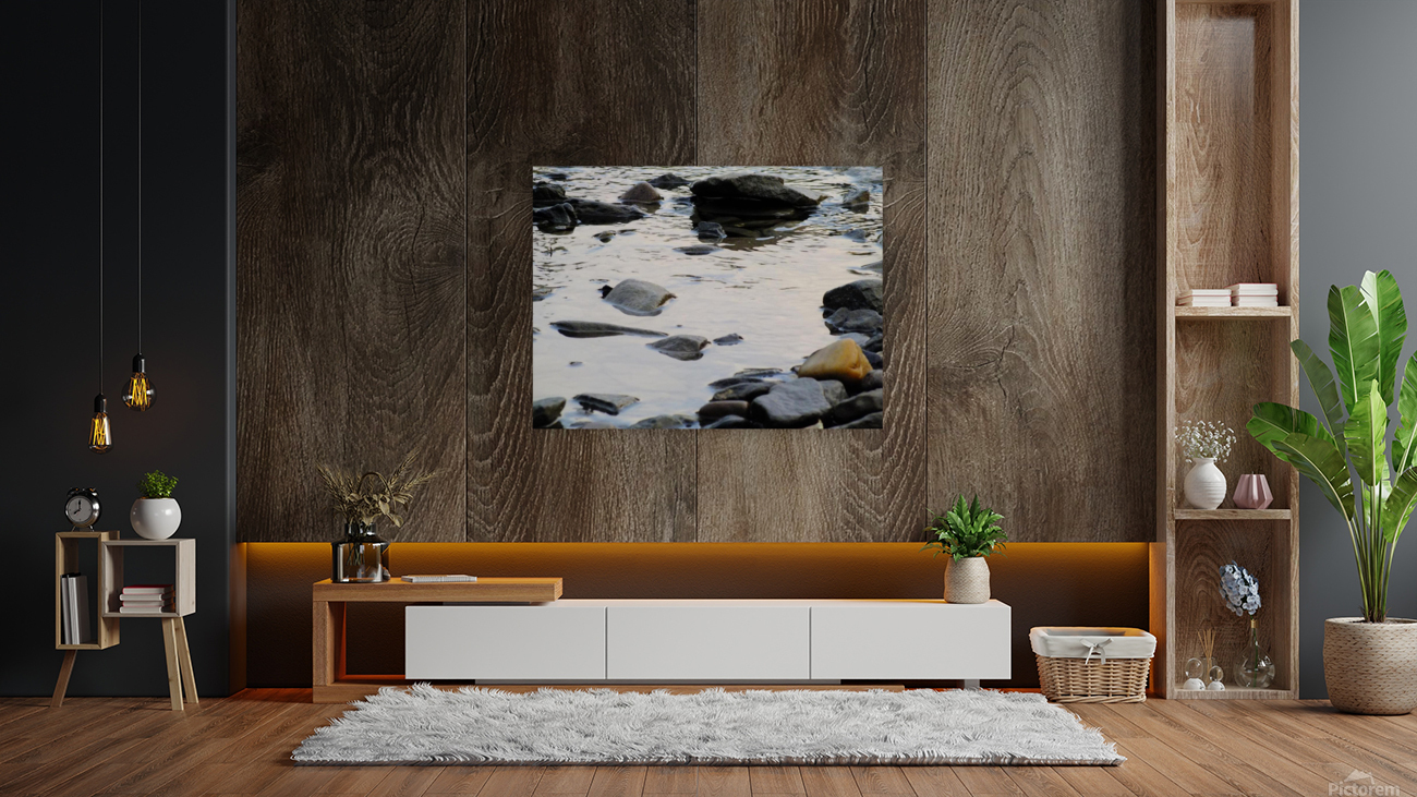 Creek  Reproduction