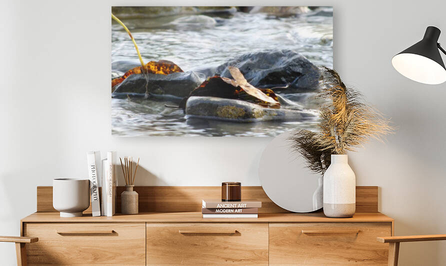 Rocky creek by jennifer sanders