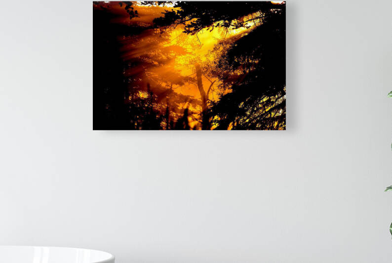 Sunset  by jennifer sanders