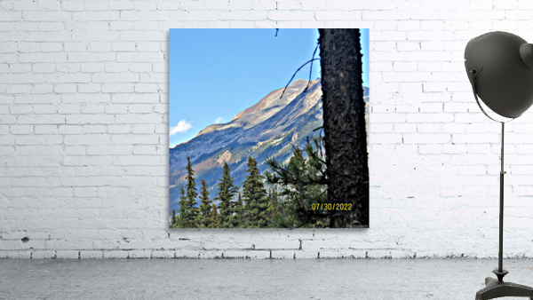Mountain Icefields parkway Wall Preview