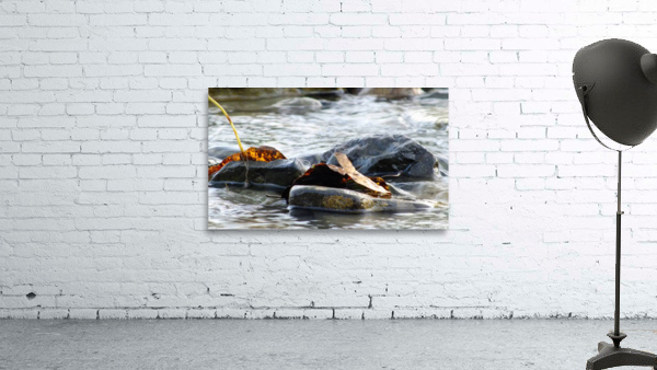 Rocky creek Wall Preview