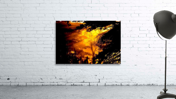 Sunset  Wall Preview