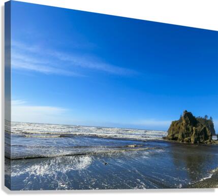 ruby beach rock formations Canvas Print