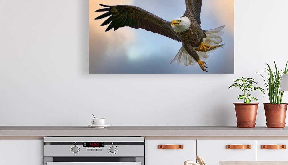 A7409064 1 SkyEagle Sky by BillyVerden
