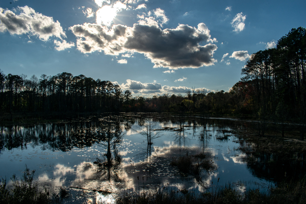 Reflection Pool Digital Download