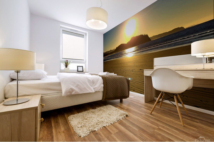 Nosara Shine Mural print