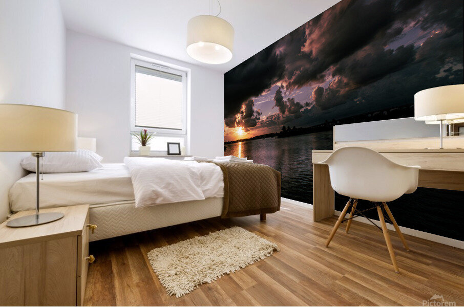 Pink Dream Mural print