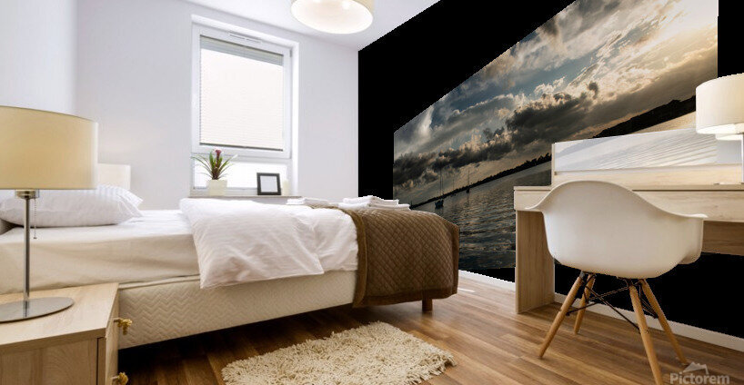 Safe Harbor Mural print