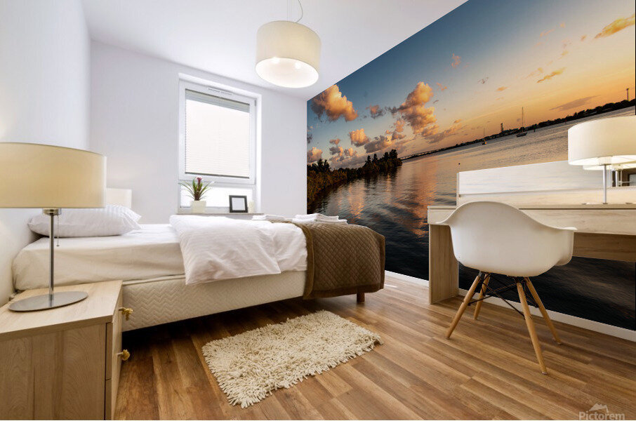 Rippled Reflections Mural print