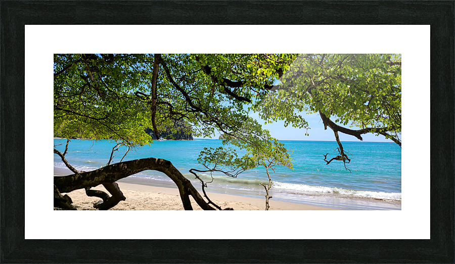 Sea Shade Picture Frame print