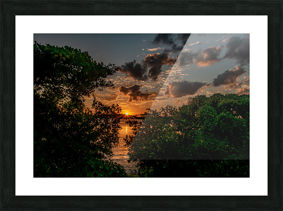 Green Spinach Picture Frame print
