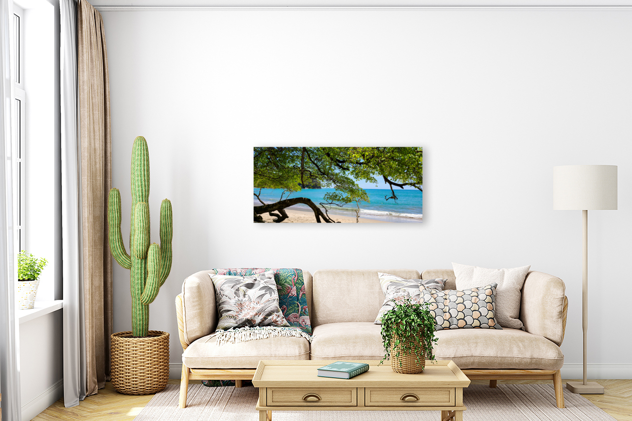 Sea Shade Reproduction