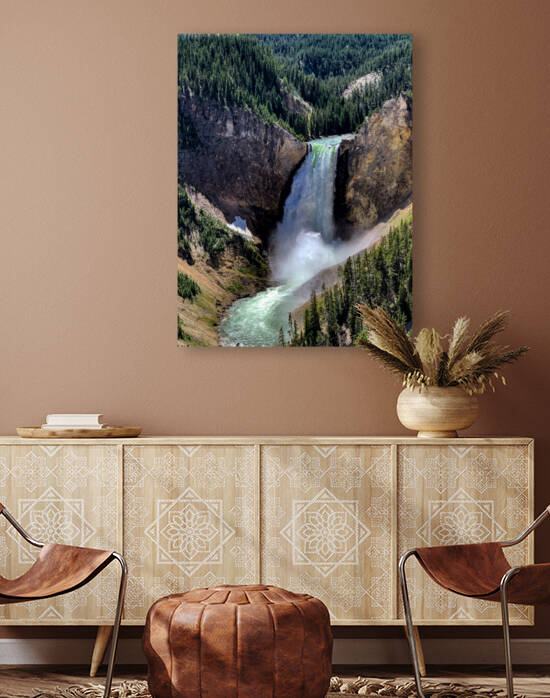 Yellowstone Reproduction