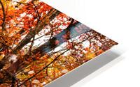 Crisp Fall HD Metal print