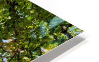 Sea Shade HD Metal print