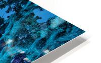 Kush HD Metal print