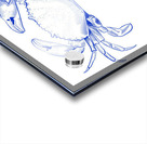 blue crab Acrylic print