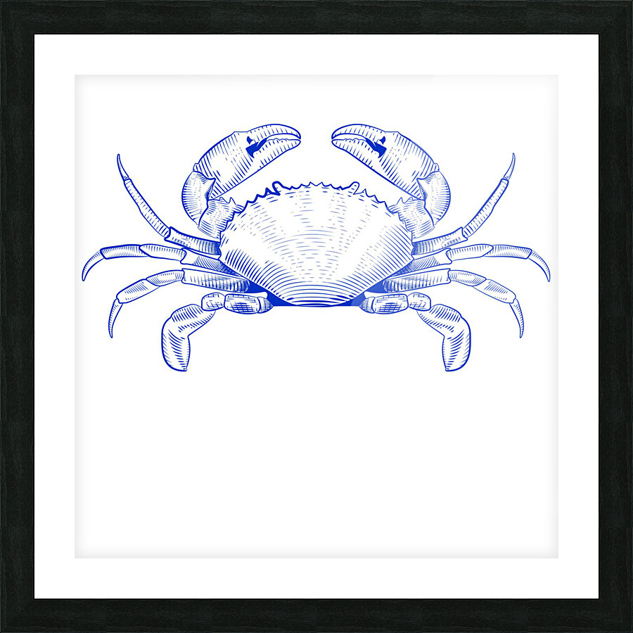 blue crab Picture Frame print