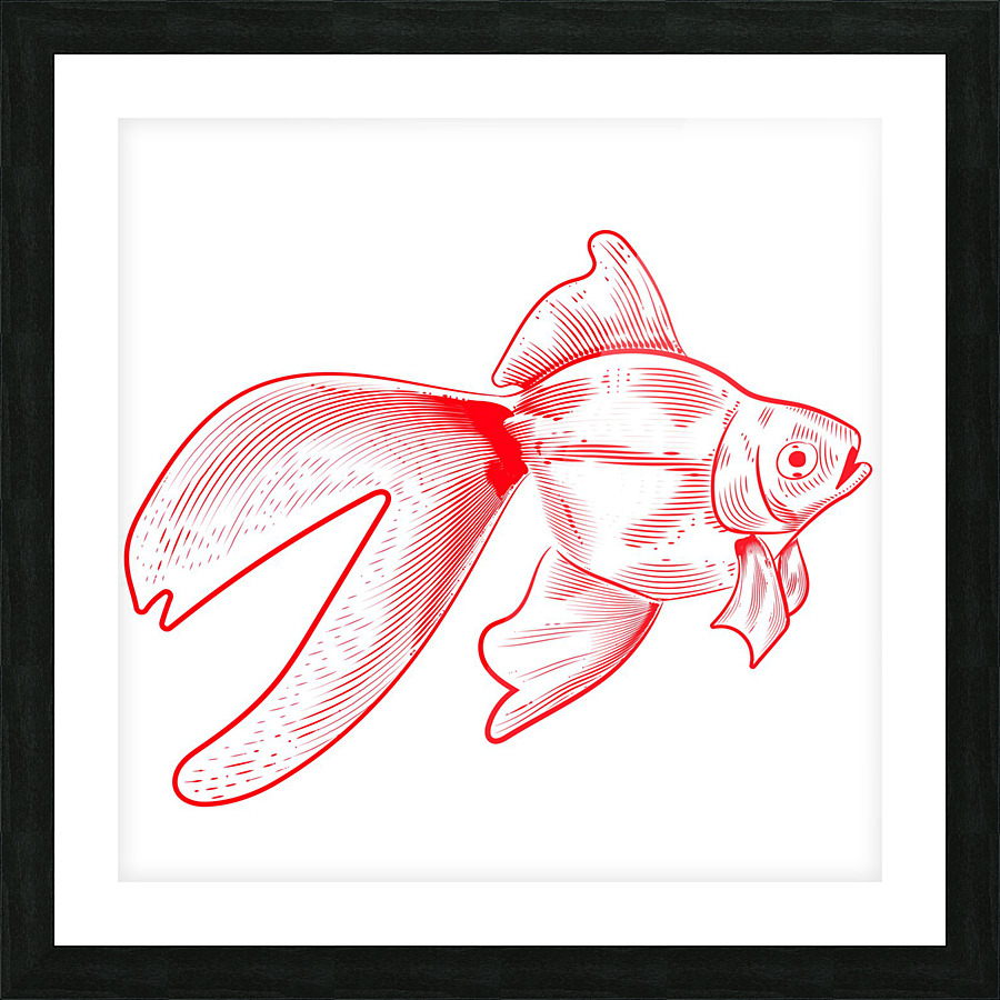 red aquarium fish Picture Frame print