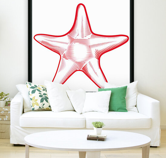 red starfish Reproduction