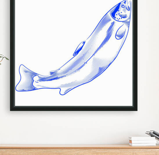 great blue salmon Reproduction