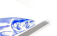 great blue salmon HD Metal print