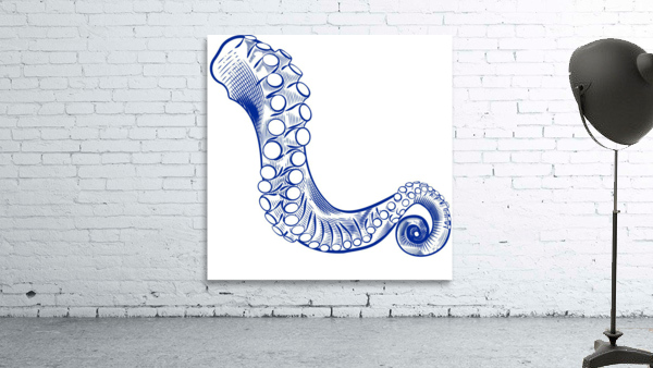 blue octopus squid Wall Preview
