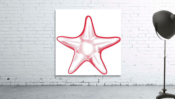 red starfish Wall Preview