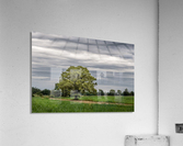 The Tree Stormy Sky Acrylic Print