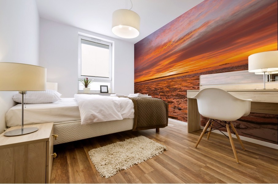 Fire and ICe Mural print