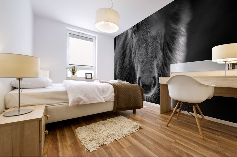 Icelandic Foal Mural print