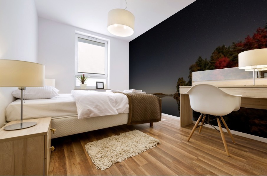Night Scape Mural print