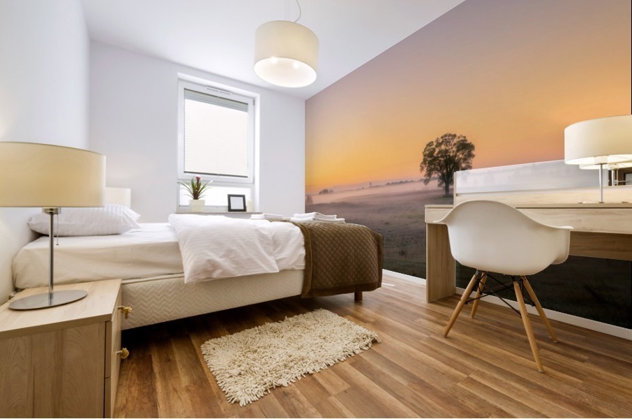 Moring Fog Mural print