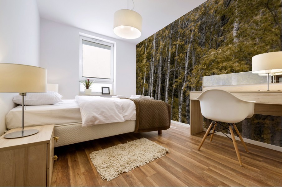White Birch Mural print