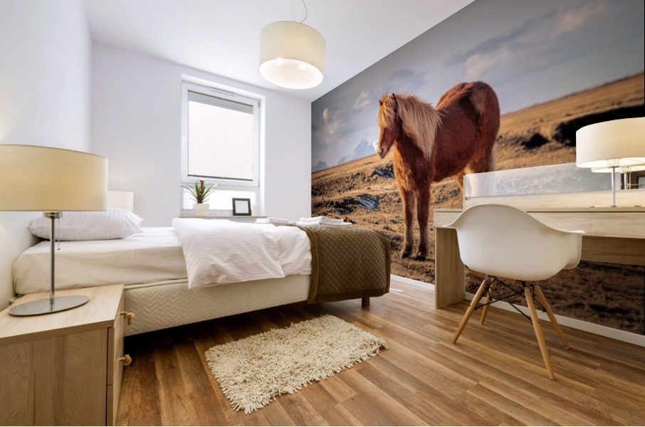 Solitaire Icelandic Horse Mural print
