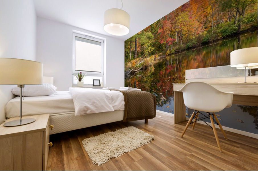 Skootamatta Mural print