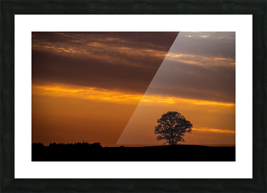 Distant Tree Picture Frame print