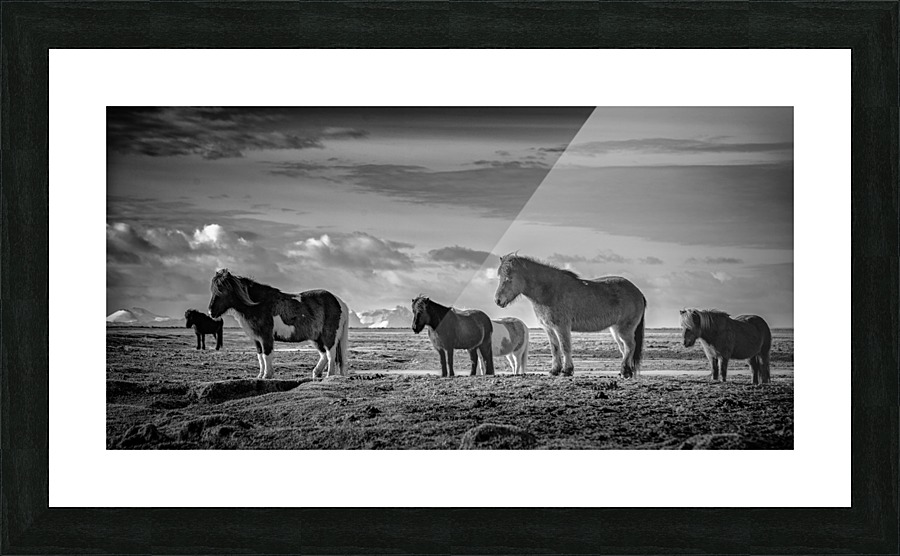 Into the Wind Picture Frame print