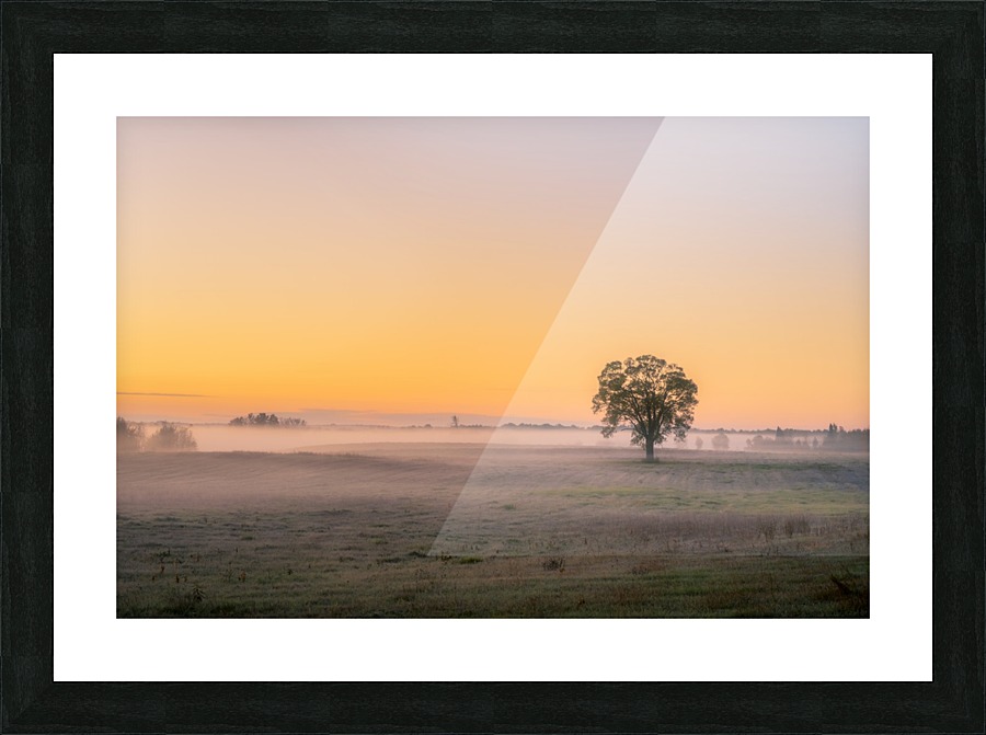 Moring Fog Picture Frame print