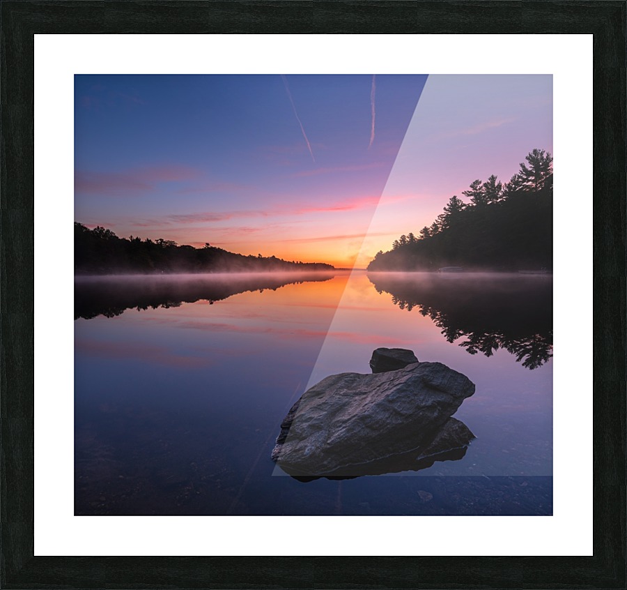Magenta Magic Picture Frame print
