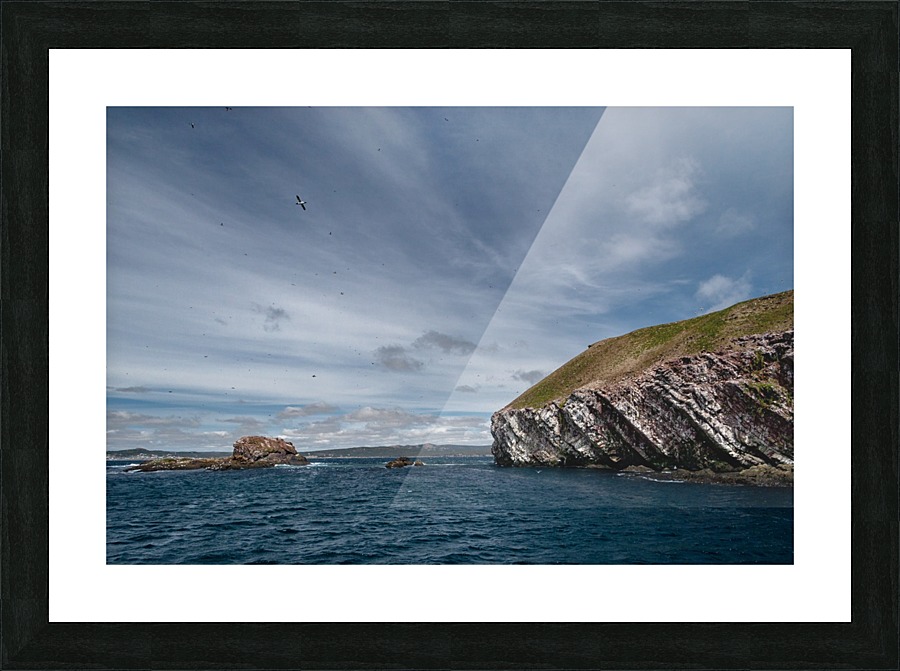 Newfoundland Cape Picture Frame print